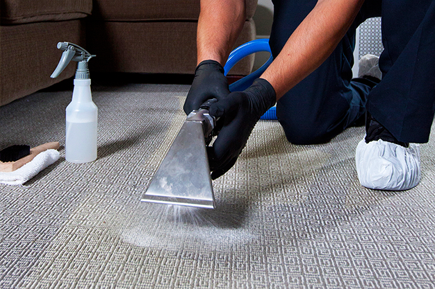 Carpet Cleaning Companies Idaho Falls