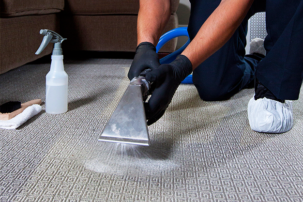 Idaho Falls Carpet Cleaning