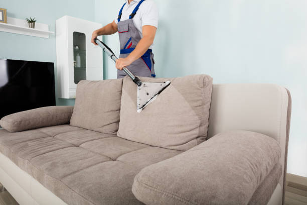 7 Easy Tips To Clean Your Sofa