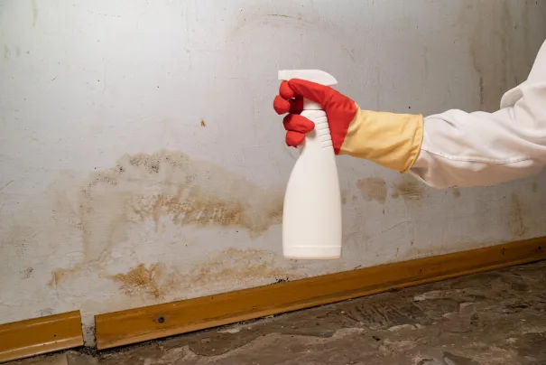 Monsoon Season Cleaning: How to Prevent Mold and Mildew