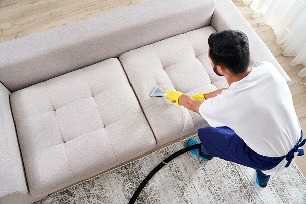 How Sofa Shampooing Services Restore the Look of Your Sofa