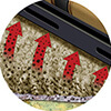 Carpet Cleaning